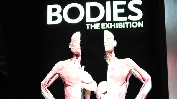Bodies Exhibit